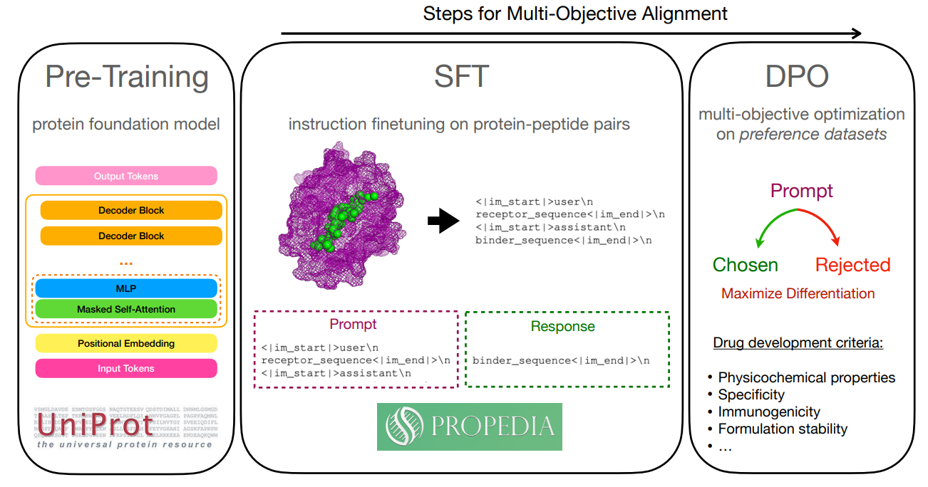 Multi-objective DPO for protein design